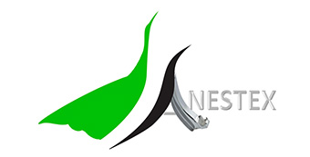 Logo Anestex