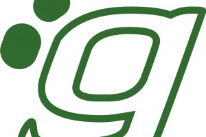 Logo de Greetik Soluciones SL